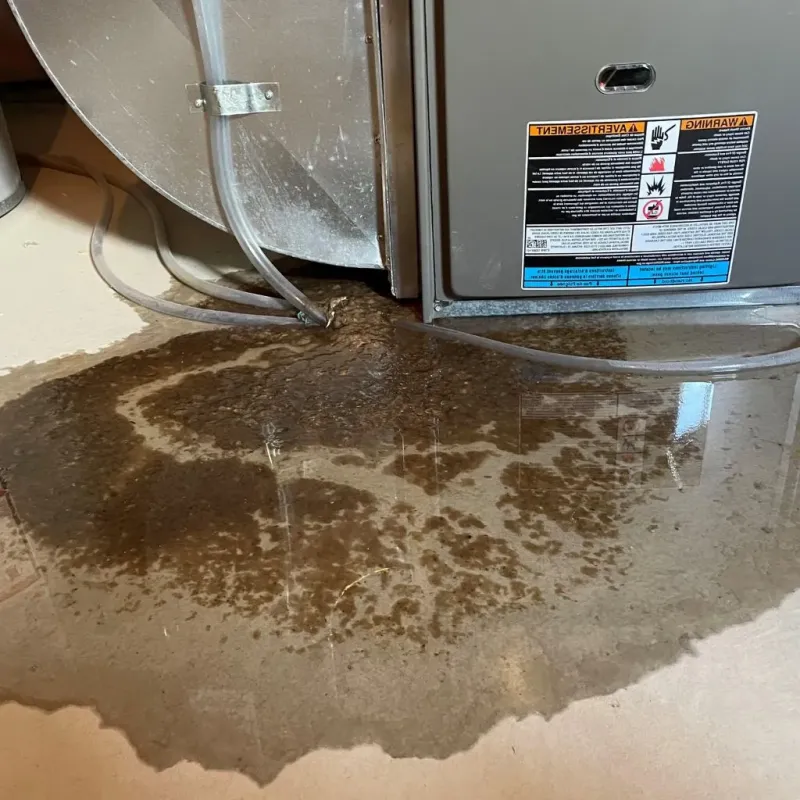 Pipe Burst and Leak Restoration in The Dalles, OR